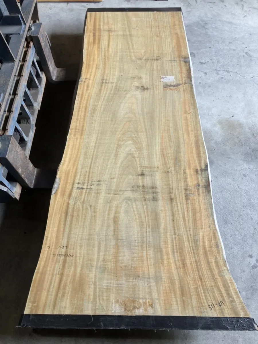 楠一枚板の魅力と人気の理由を解説